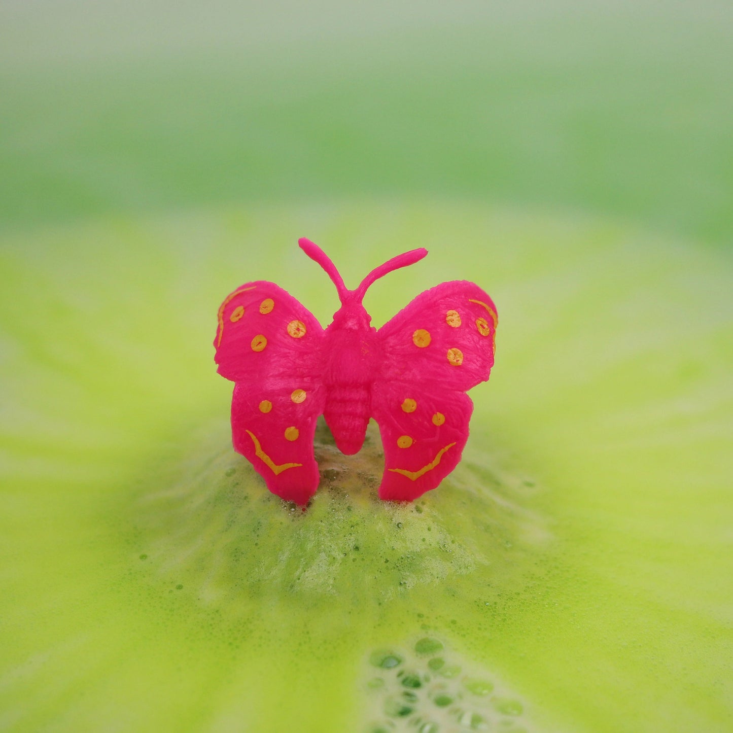 Bombas Anillo de Mariposa Sorpresa