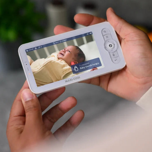 Video Monitor See Pro