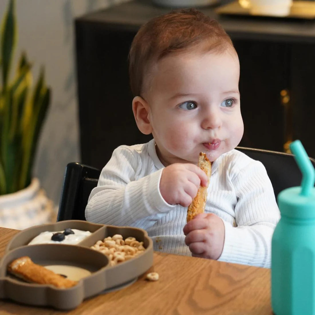 Plato de silicona con succión Oso