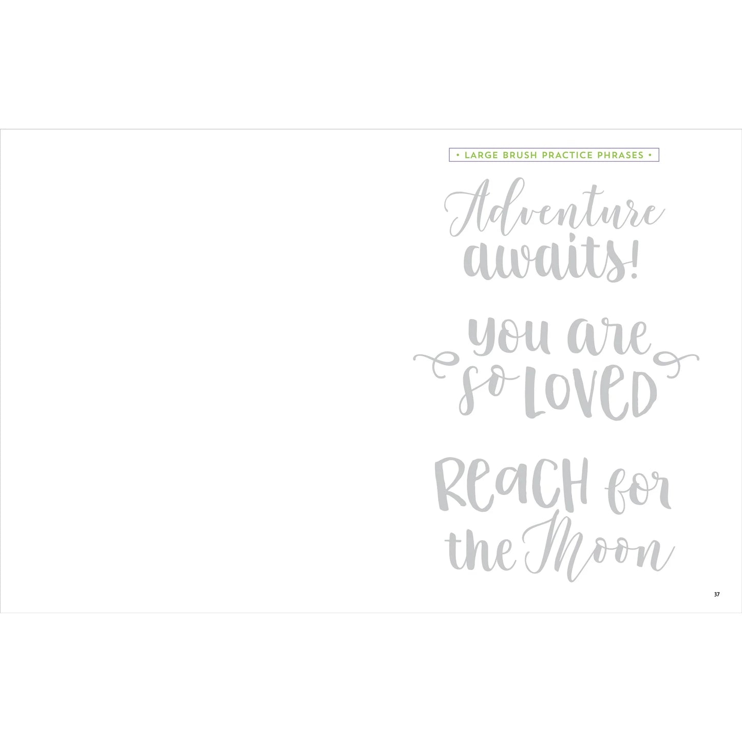 Set Hojas para Aprender Lettering