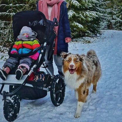 Coche de paseo todo terreno Terrain™ Heritage Onyx