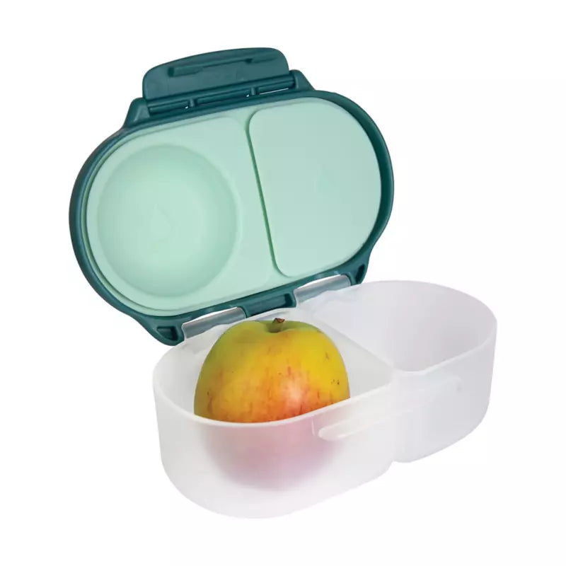 Snack bento box Emerald Forest