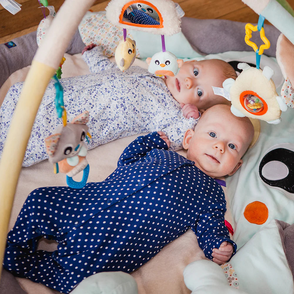 Gimnasio de Estimulación Pingüino