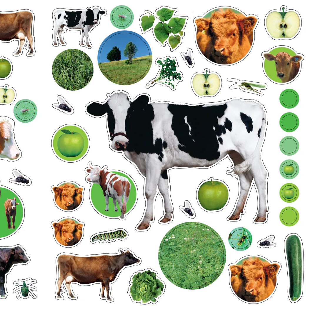 Stickers Reutilizables En la Granja