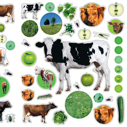 Stickers Reutilizables En la Granja