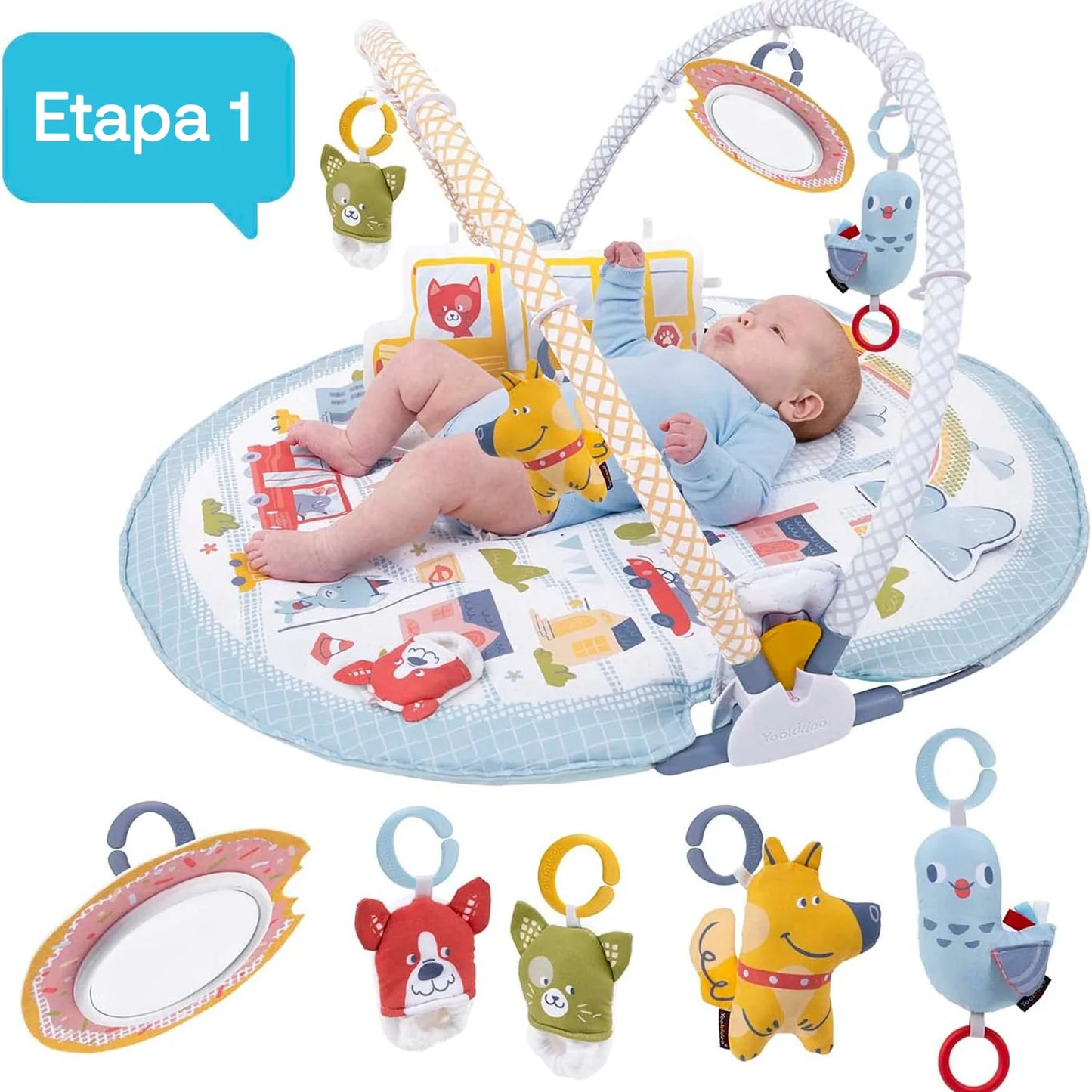 Gimnasio de Estimulación Lay to Sit-Up Play