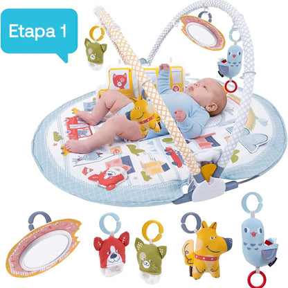 Gimnasio de Estimulación Lay to Sit-Up Play