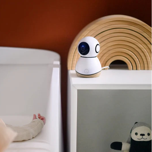 Video Monitor See Pro