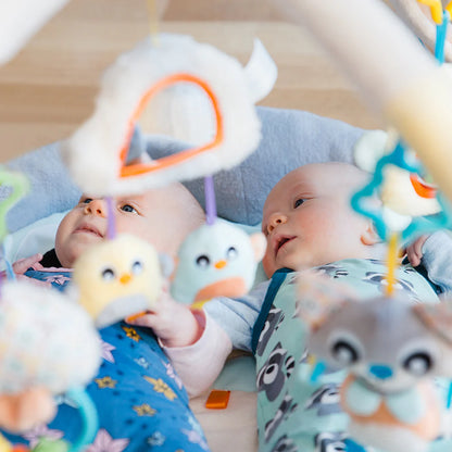 Gimnasio de Estimulación Pingüino