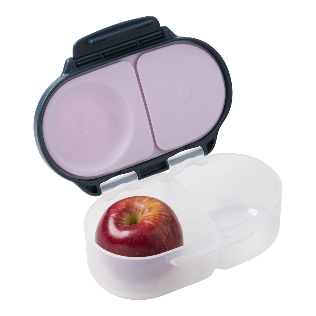 Snack bento box Indigo rose