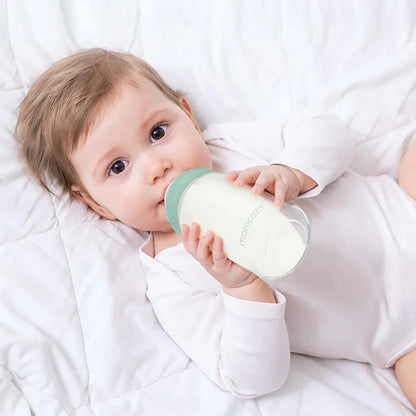 Set de 4 envases de almacenamiento