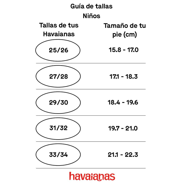 Havaianas sales conversion chart