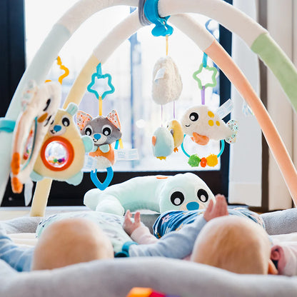 Gimnasio de Estimulación Pingüino