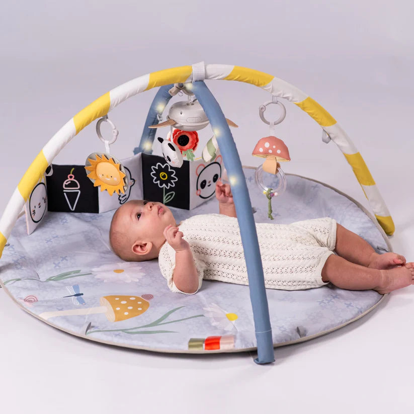 Gimnasio de Estimulación Melody Bloom