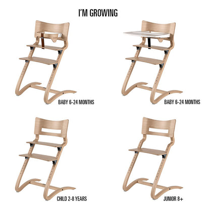 Silla de Comer Leander Café Walnut