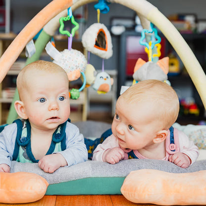 Gimnasio de Estimulación Pingüino