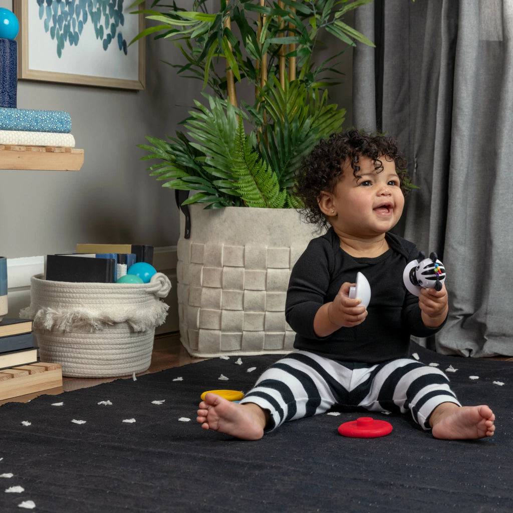 Mordedor y encaje Baby Einstein Zebra