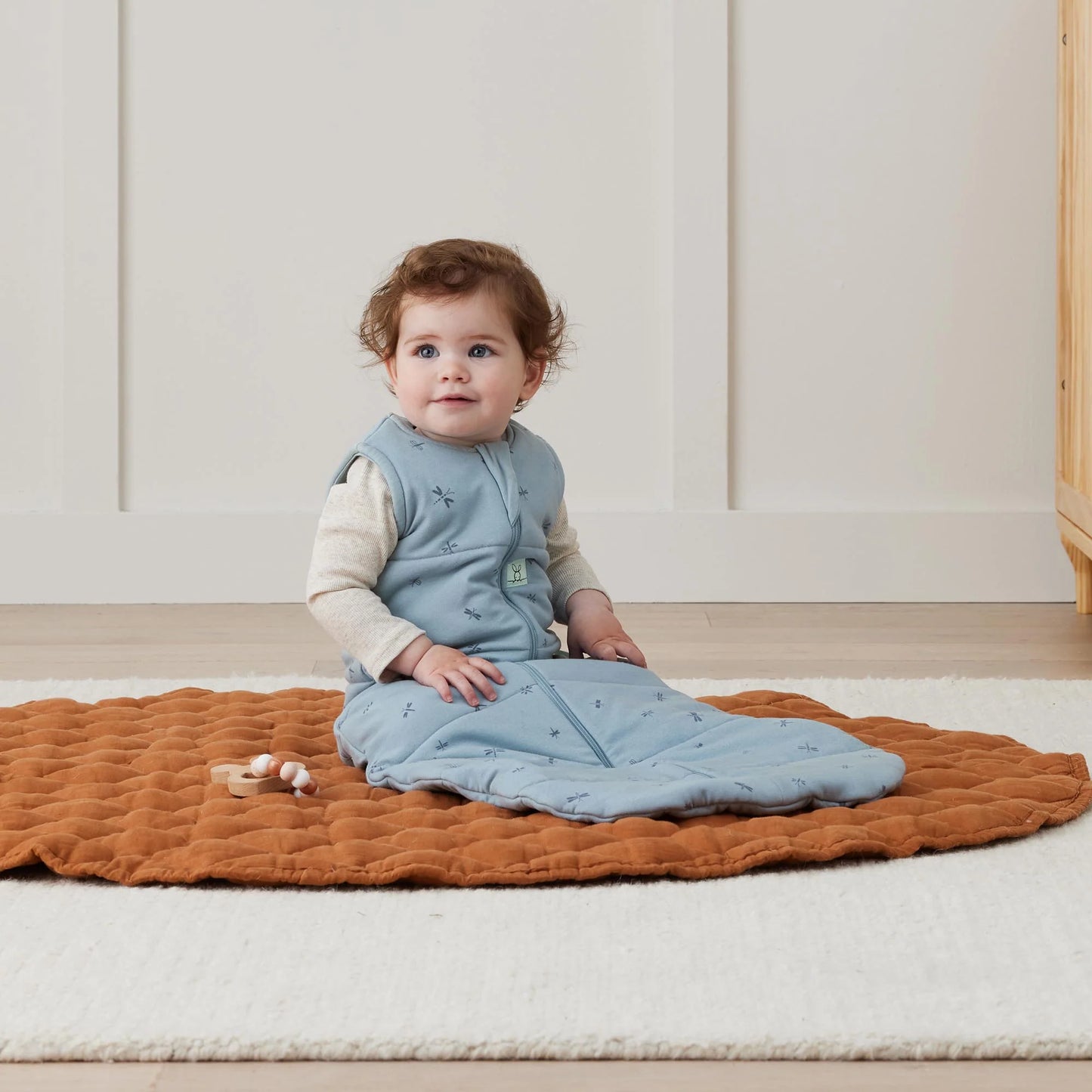 Saco de dormir Sleeping Bag 2.5 TOG Dragonflies