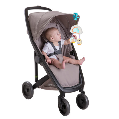 Gimnasio de Estimulación Pingüino