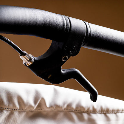 Coche de paseo todo terreno Terrain™ Heritage Onyx