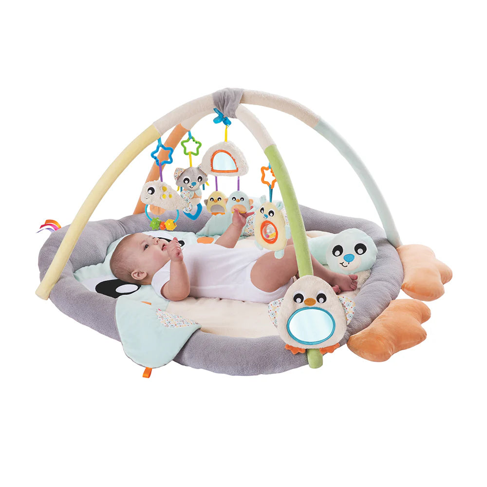 Gimnasio de Estimulación Pingüino