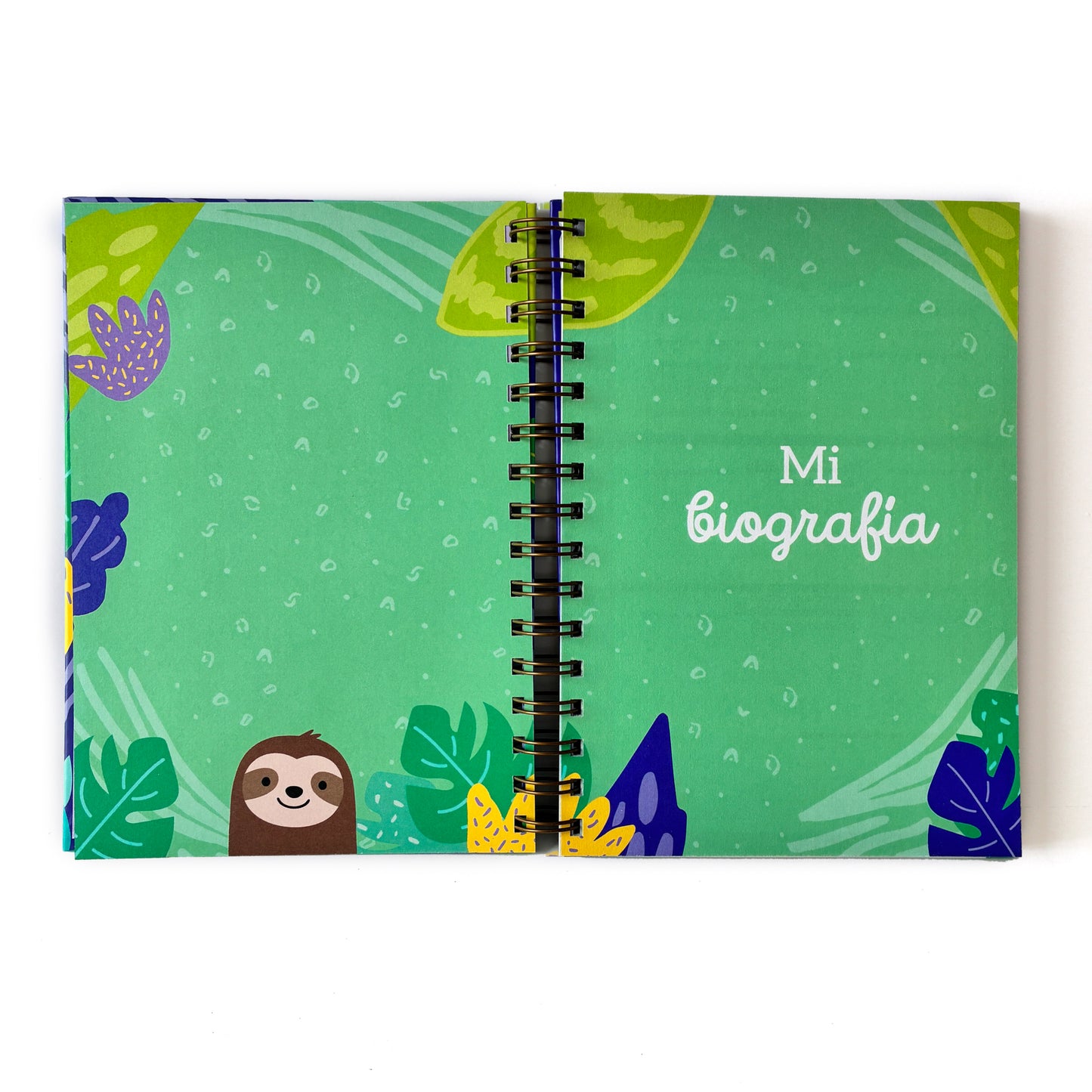 Cuaderno de Salud Perezoso