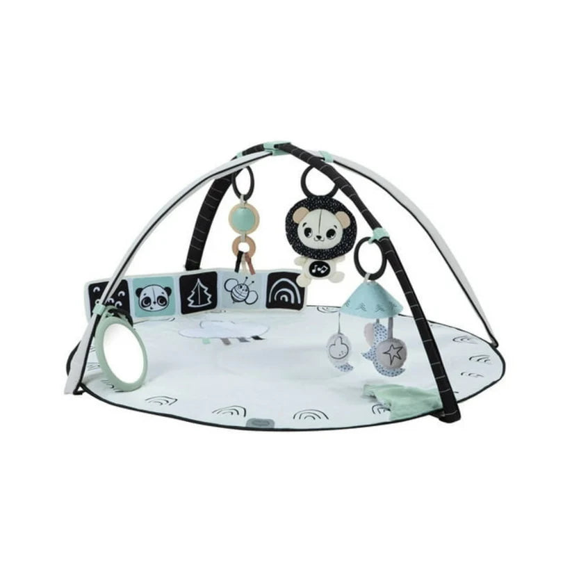 Gimnasio Black & White Decor