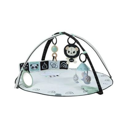 Gimnasio Black & White Decor