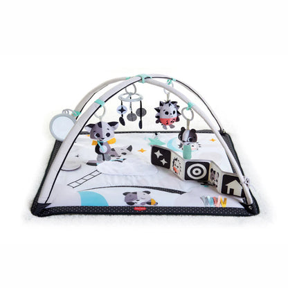 Gimnasio Magical Tales