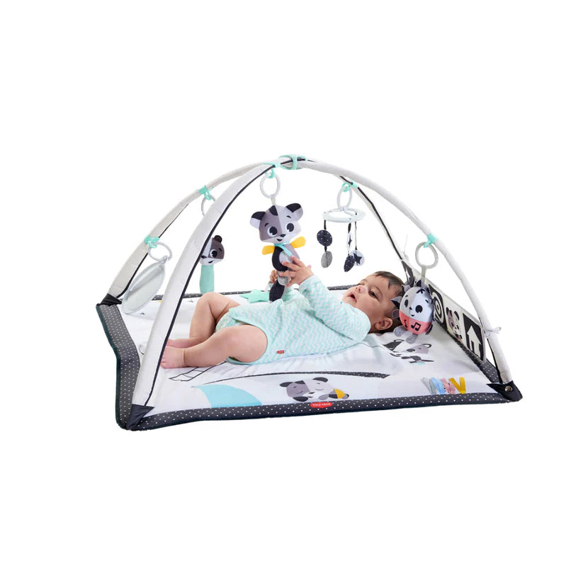 Gimnasio Magical Tales