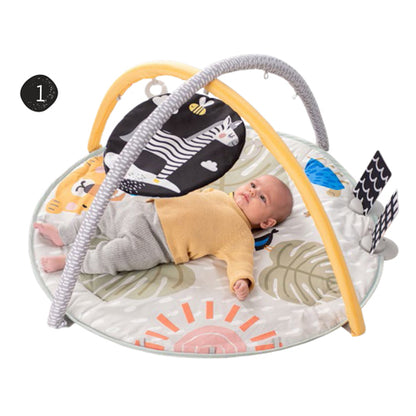 Gimnasio de Estimulación Savannah 360°