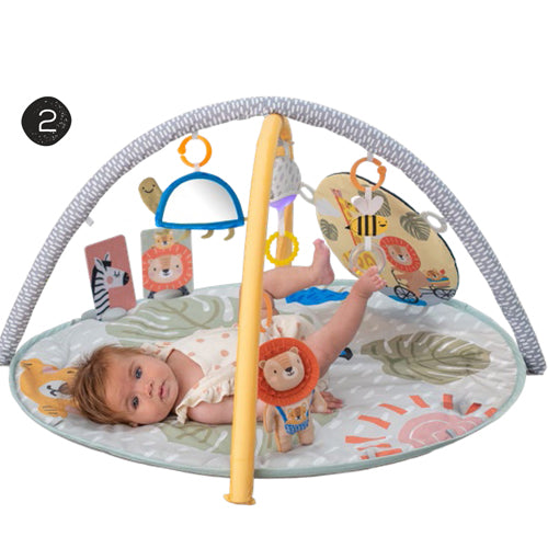 Gimnasio de Estimulación Savannah 360°