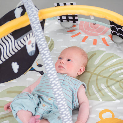 Gimnasio de Estimulación Savannah 360°