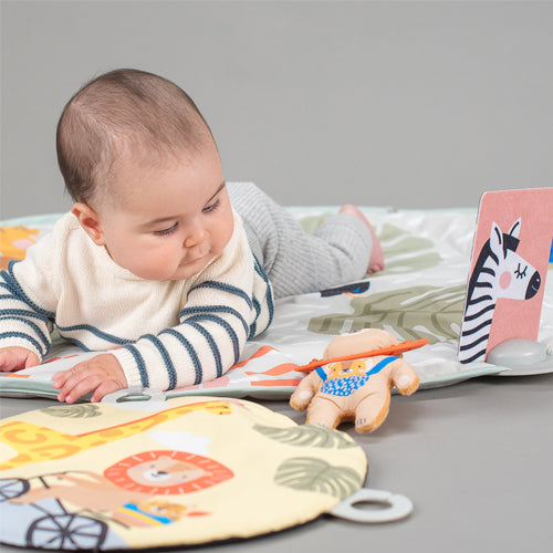 Gimnasio de Estimulación Savannah 360°