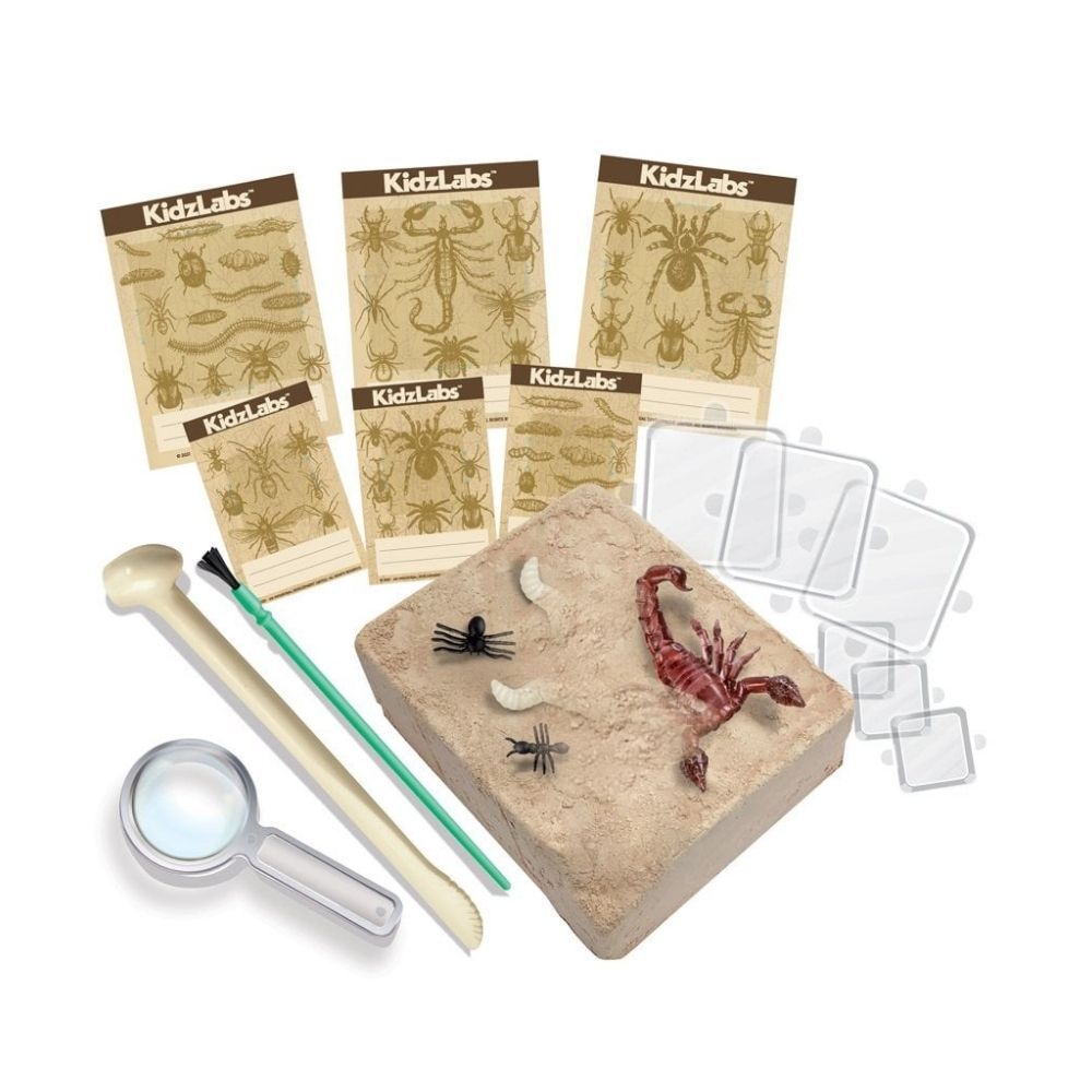 Juego Excava insectos