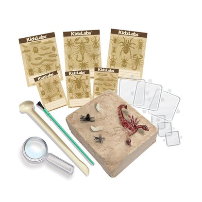 Juego Excava insectos