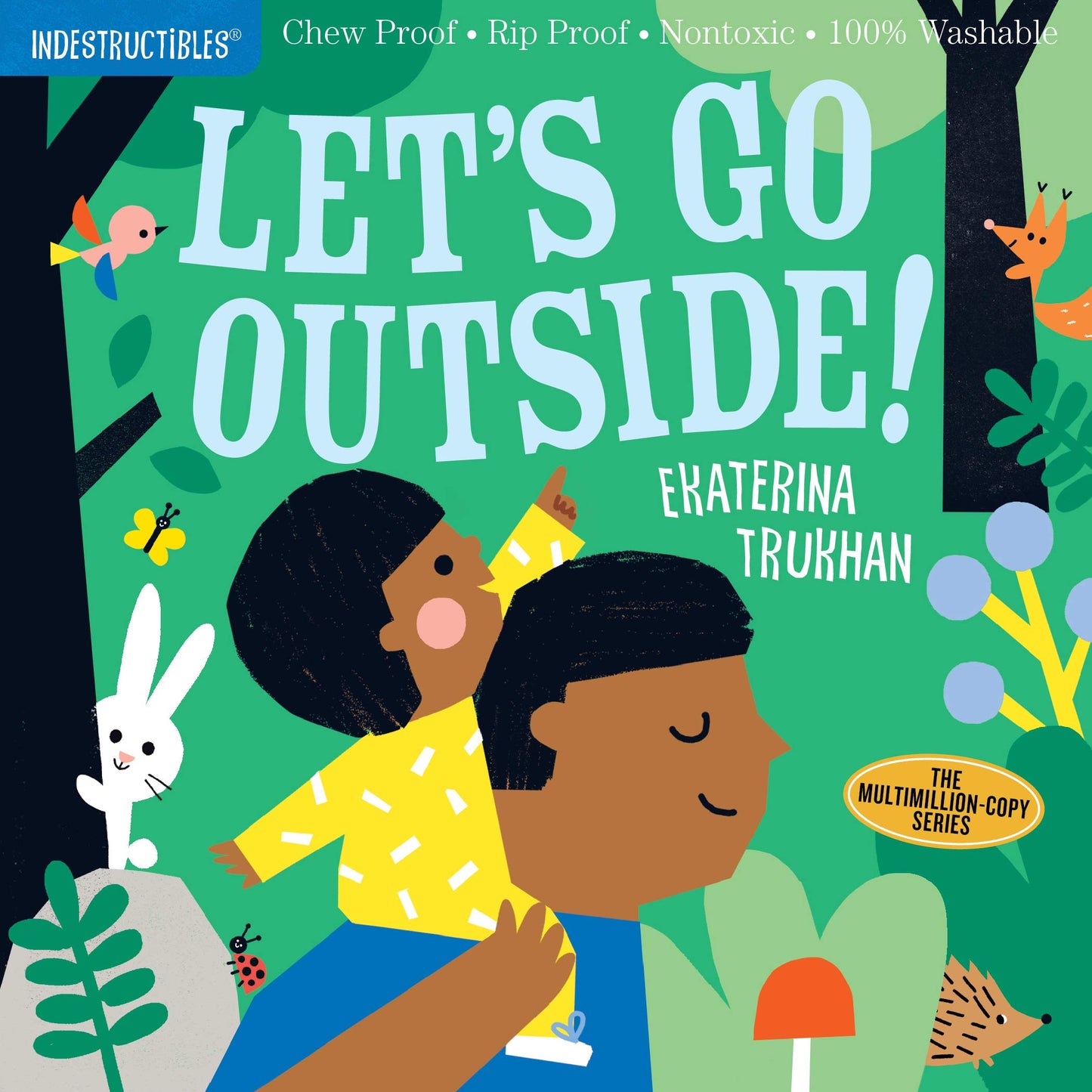 Libro Indestructible: Baby, Let's Go Outside!