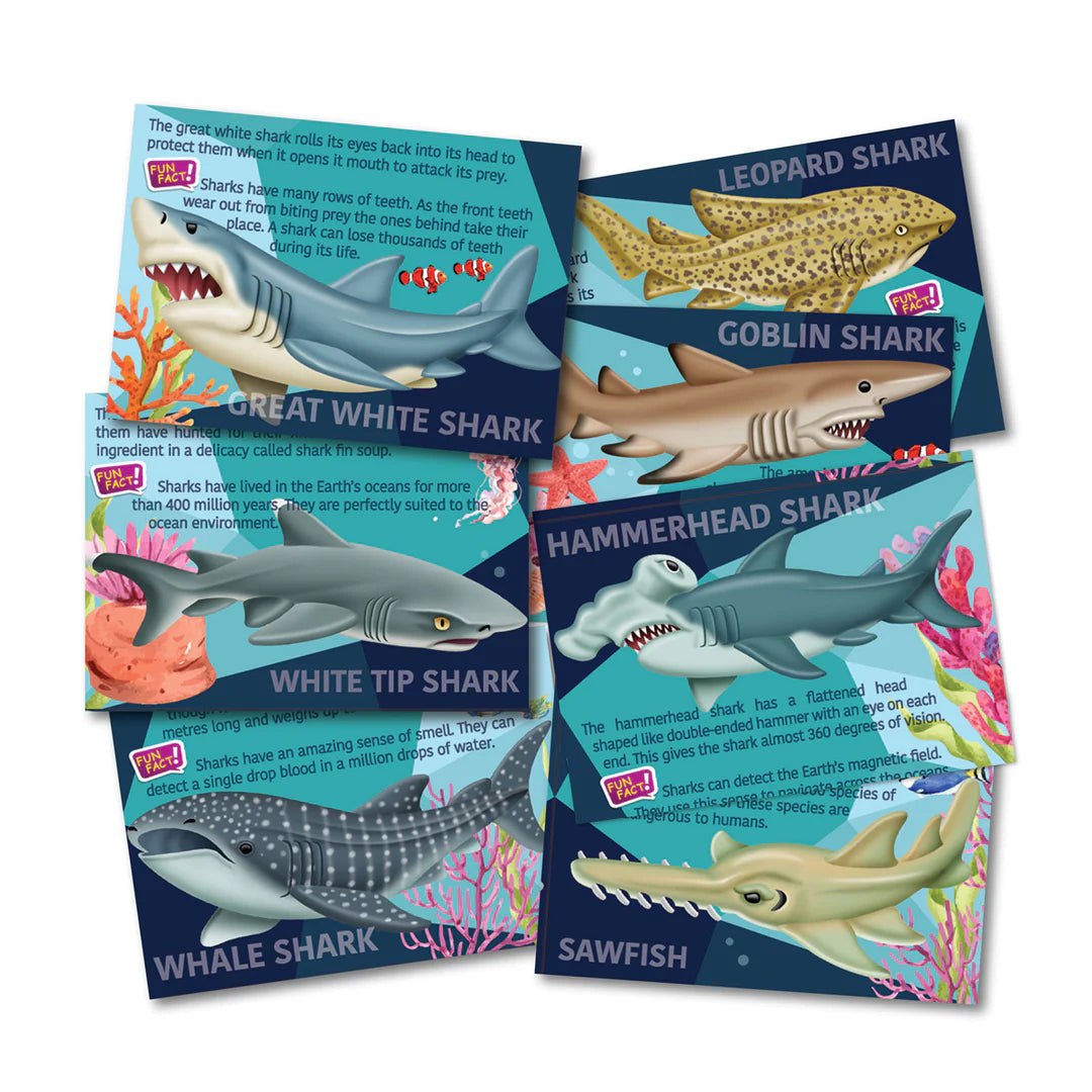 Moldea y Pinta Tiburones