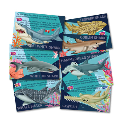 Moldea y Pinta Tiburones